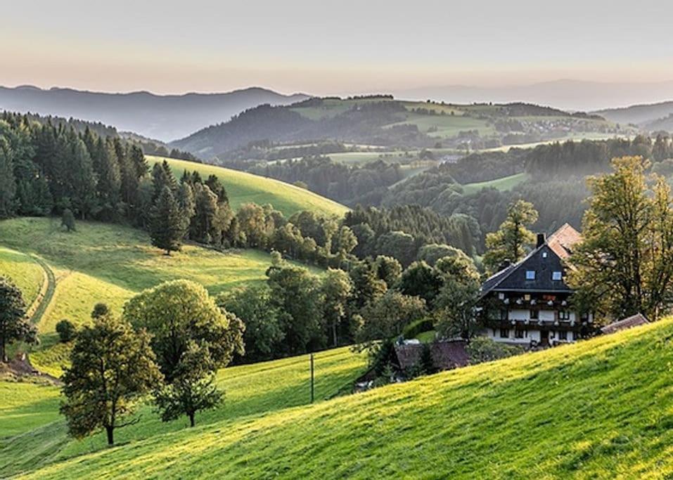 Ferienwohnung Lotti + Hochschwarzwald Card Titisee-Neustadt Bagian luar foto