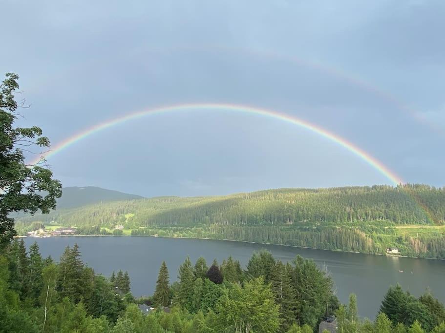 Ferienwohnung Lotti + Hochschwarzwald Card Titisee-Neustadt Bagian luar foto