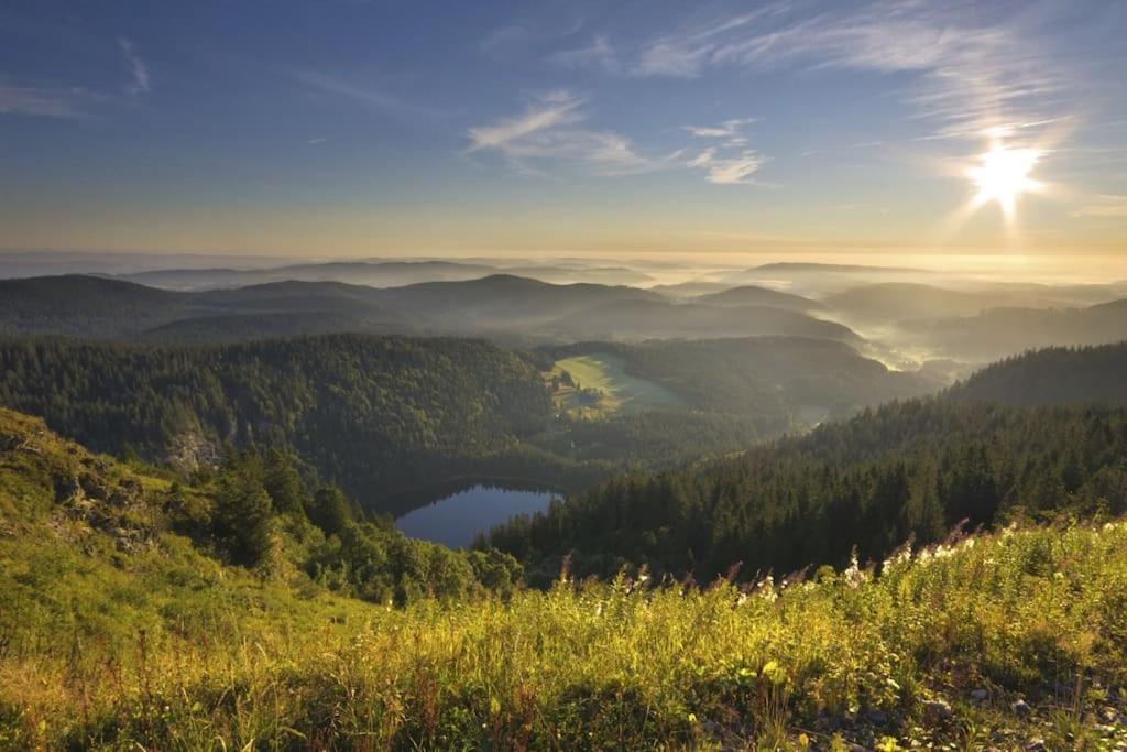 Ferienwohnung Lotti + Hochschwarzwald Card Titisee-Neustadt Bagian luar foto