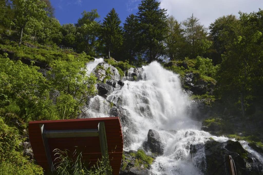 Ferienwohnung Lotti + Hochschwarzwald Card Titisee-Neustadt Bagian luar foto